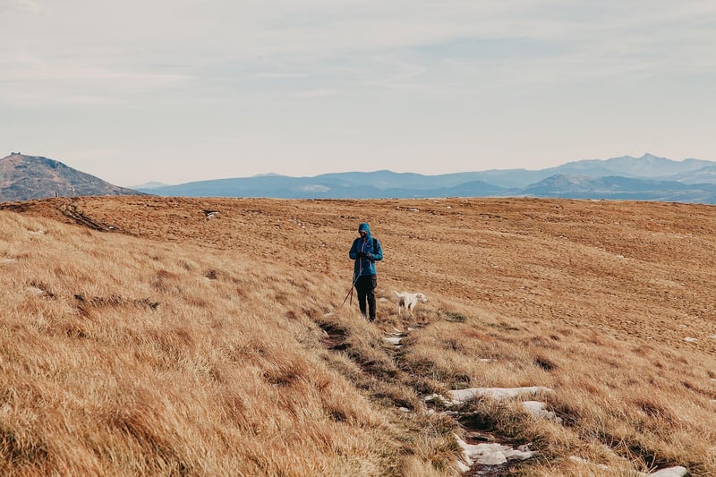 Exploration